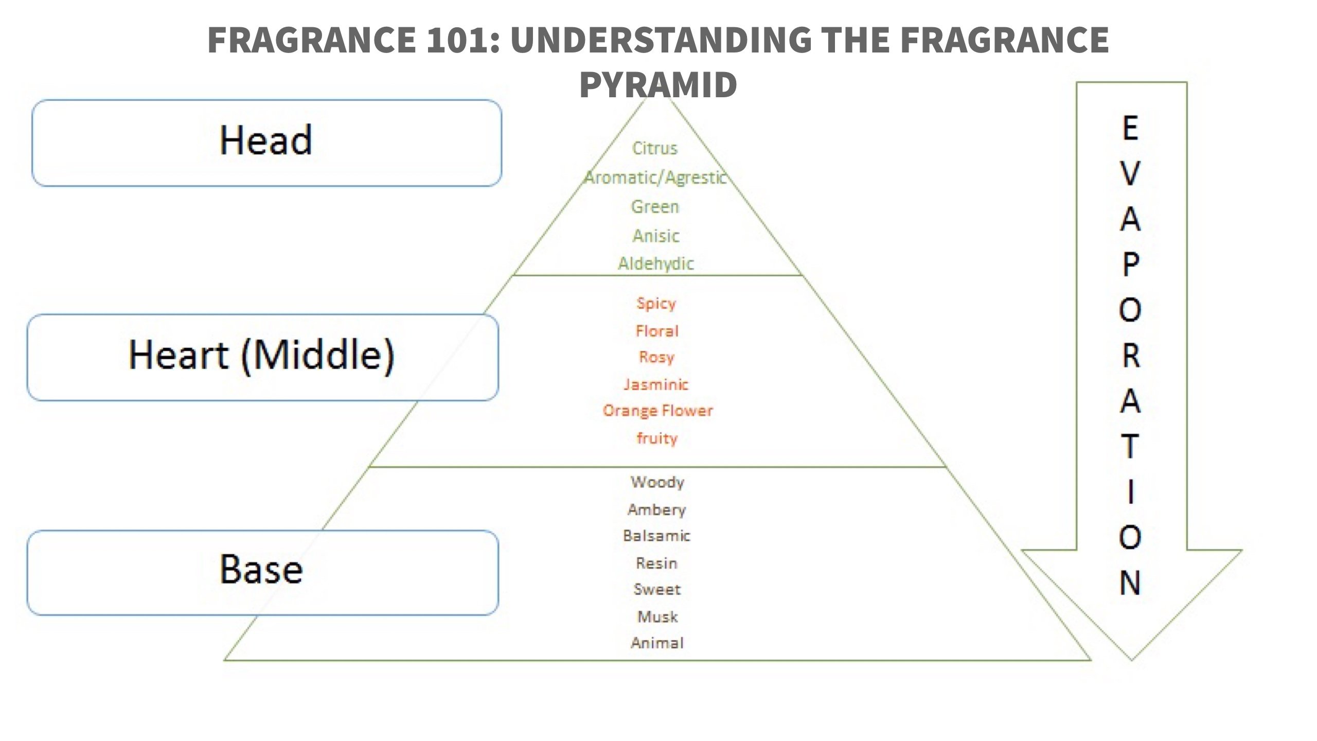 Understanding 2025 perfume notes